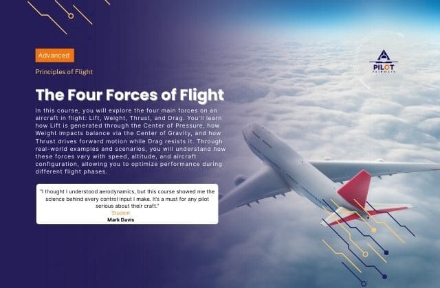 The Four Forces of Flight